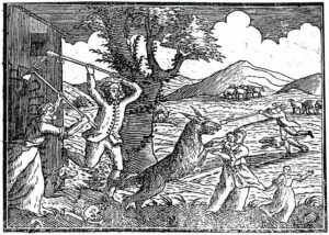bestie-von-gevaudan5-4a61f6-640