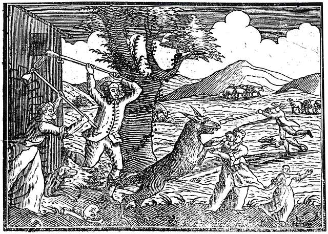 bestie-von-gevaudan5-4a61f6-640